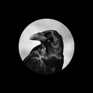 演一个潘金莲三级红色毛片
